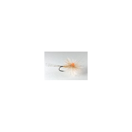 CDC Para Fly
