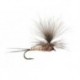 CDC Parachute Pink Cahill