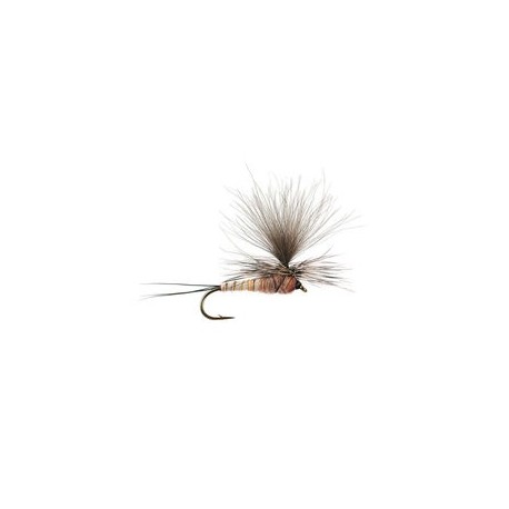 CDC Parachute Pink Cahill
