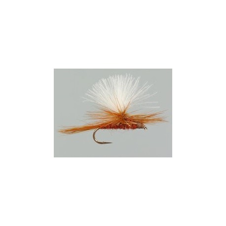 CDC Parachute (Olive Upright) Brown Yellowish