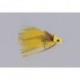 Yellow Joom Diver