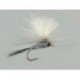CDC Parachute (Olive Upright) Tan Yellowish