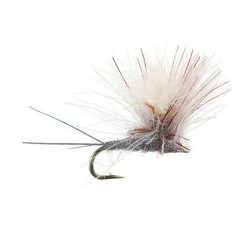 CDC Parachute Brown