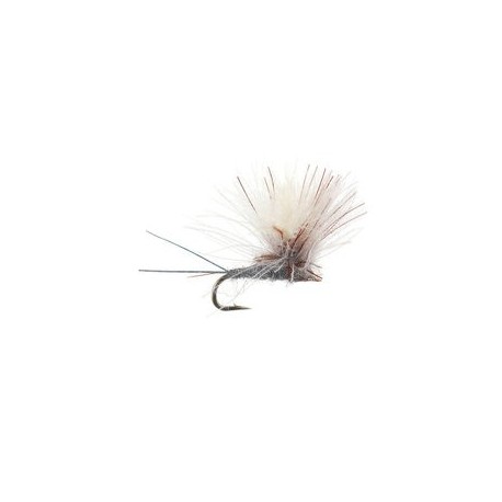 CDC Parachute Brown