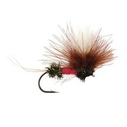 CDC Parachute Olive