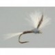 CDC Quill Gordon