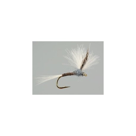CDC Quill Gordon