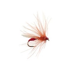 CDC Red Flying Ant