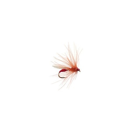 CDC Red Flying Ant
