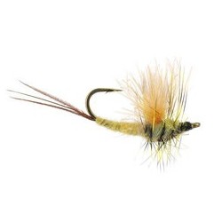 CDC Reverse May Fly