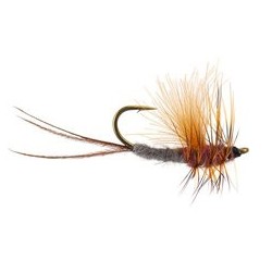 CDC Reverse Rusty Ecdyo