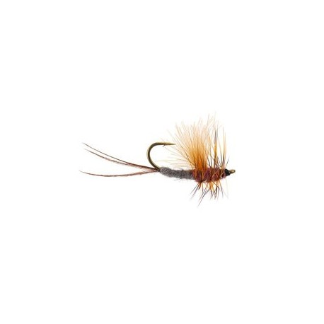 CDC Reverse Rusty Ecdyo