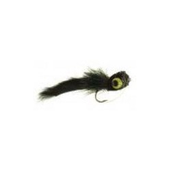 Barr's Cat Black