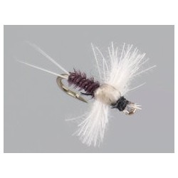 CDC Spinner Trico