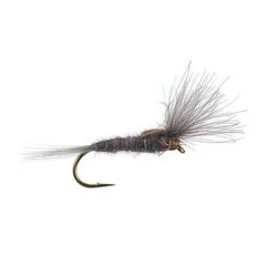 CDC Split Wing Tan