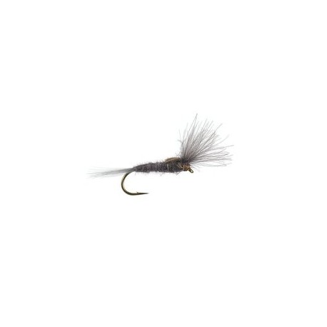 CDC Split Wing Tan