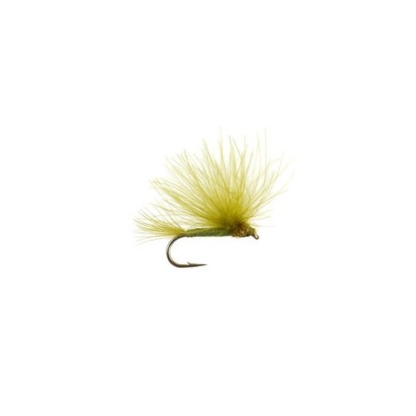 CDC Splitwing Olive