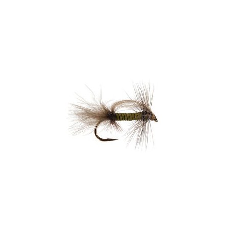 CDC Stillborn Medium Olive