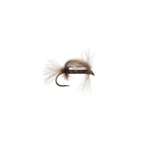 CDC Stillborn Tan