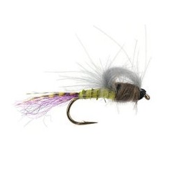 CDC Straight Loopwing Emerger Medium Olive