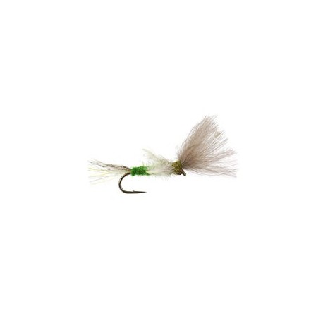 CDC Transition Dun Medium Olive