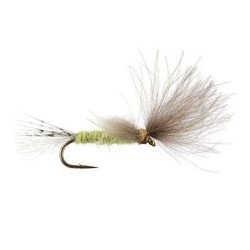 CDC Transition Dun Pale Olive