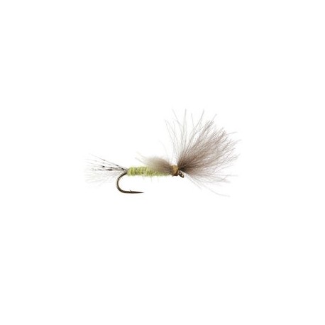 CDC Transition Dun Pale Olive