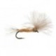 CDC Transition Dun Tan