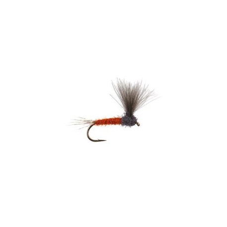 CDC Upright Rusty Ecdyo