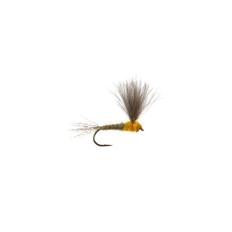 CDC Upright Yellow May