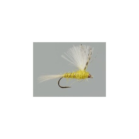 CDC Yellow Dun