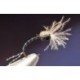 Crawling CDC Midge Pupa
