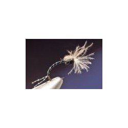 Crawling CDC Midge Pupa