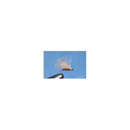 F Fly