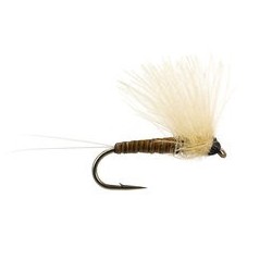 Half CDC (Olive Dun) Medium Olive