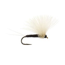 Half CDC (Olive Dun) Tan