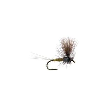 Kiochis CDC Thorax Flav