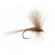 March Brown