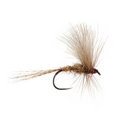 March Brown