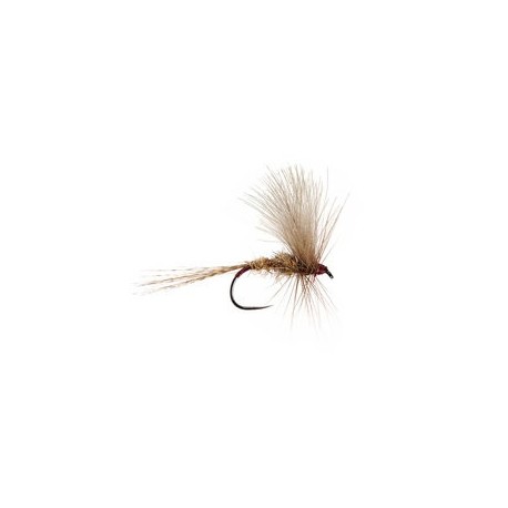 March Brown