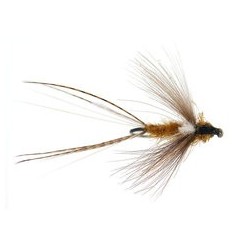 Olive Dun CDC