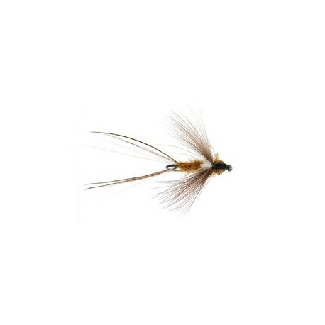 Olive Dun CDC