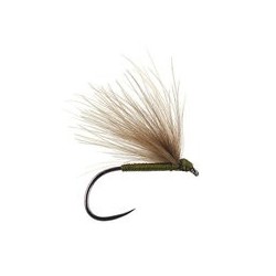 Olive Fratnik Simply Good Bl