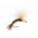 Petras CDC Catcher