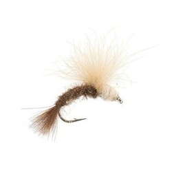 Petras CDC Catcher