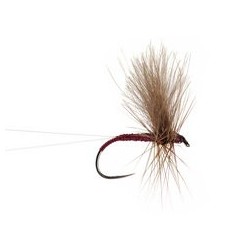 Red Spinner