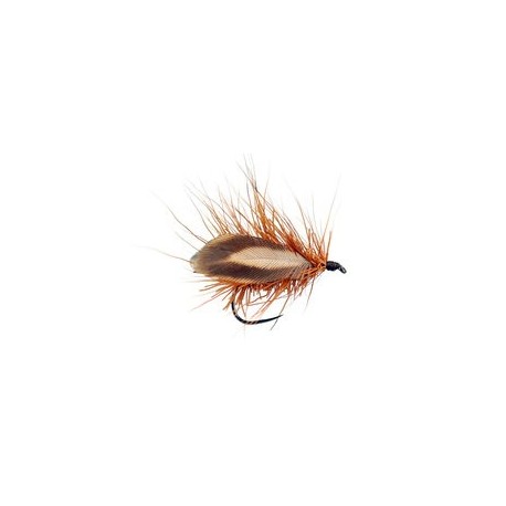 Ryacophila
