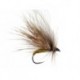 Sedge
