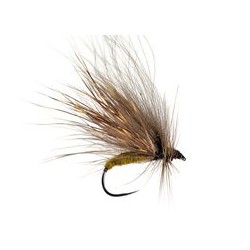 Sedge