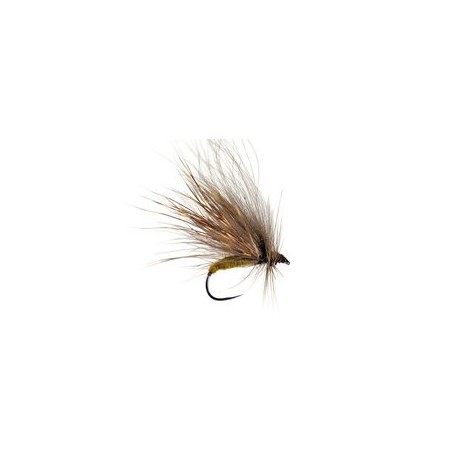 Sedge